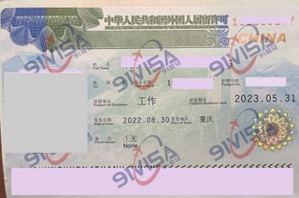 中国工作签证